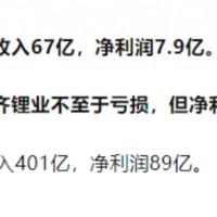 鋰礦業績暴雷，兩大鋰王雙雙虧損！